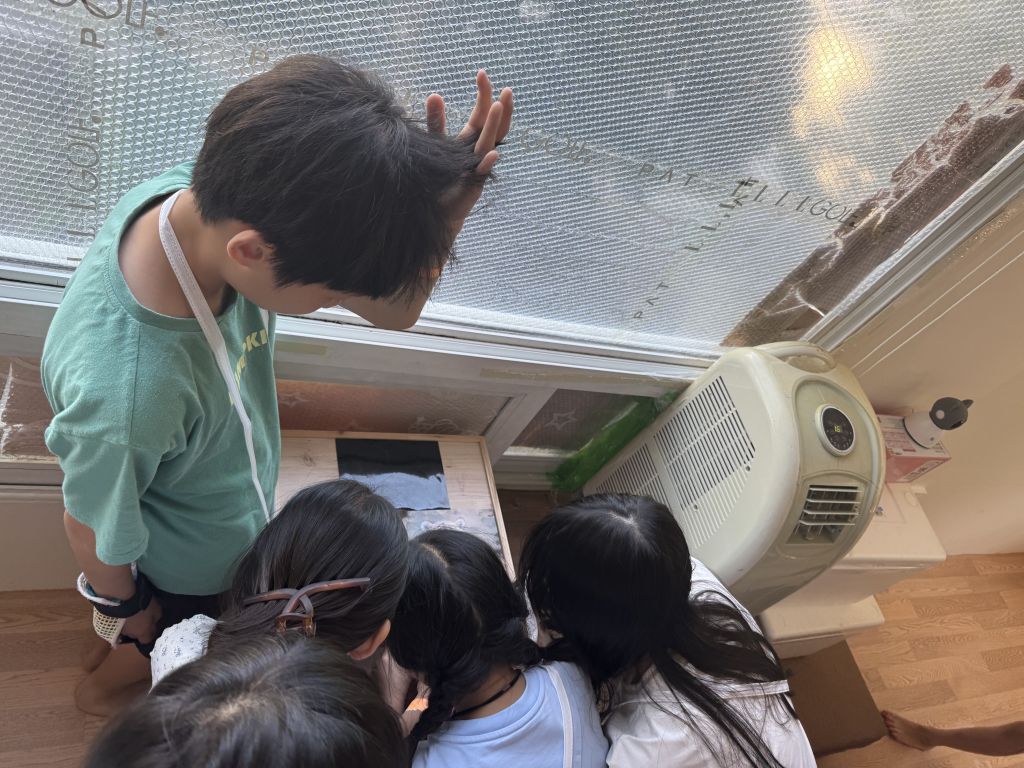 1753546414669.jpg