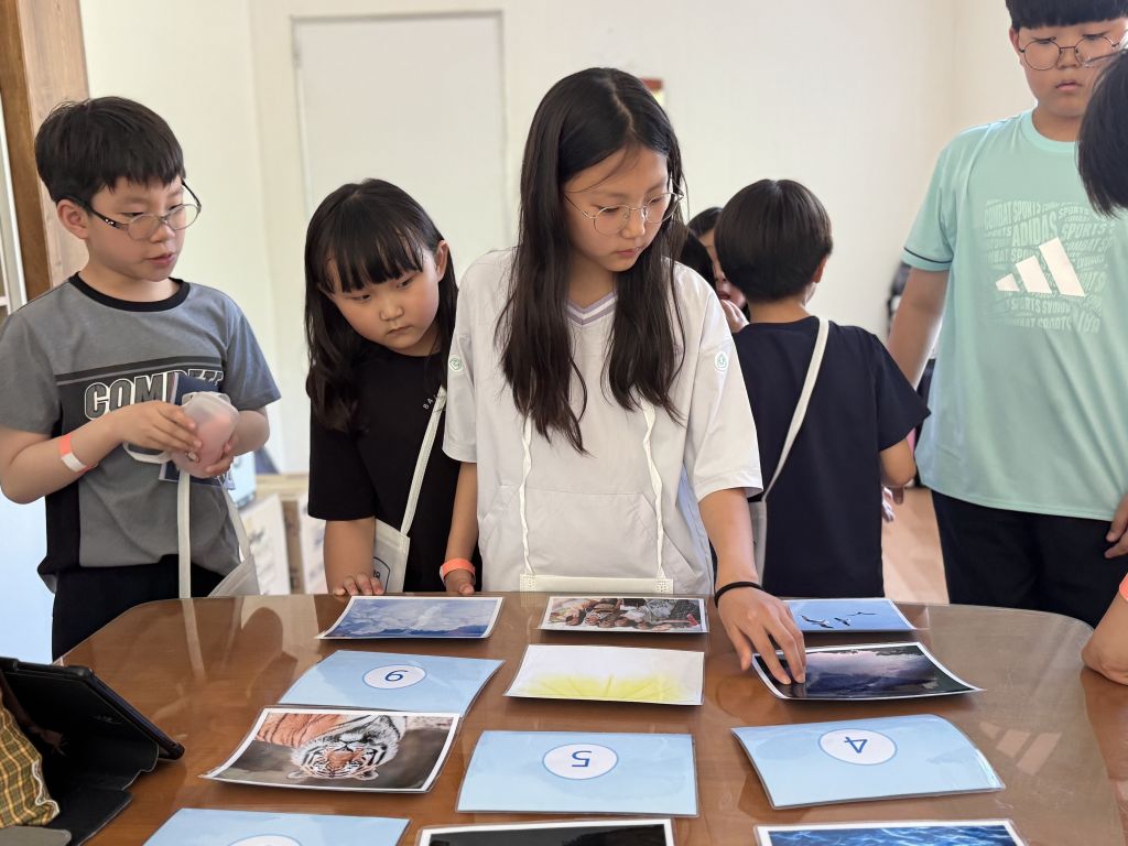 1753546352797.jpg