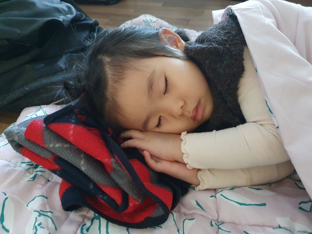 1708526531543.jpg