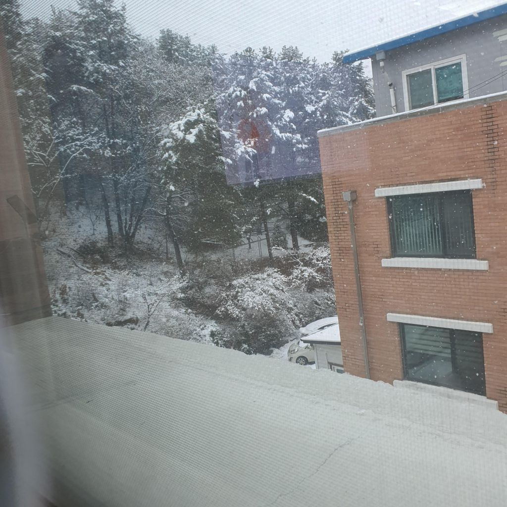 20230115_122648.jpg
