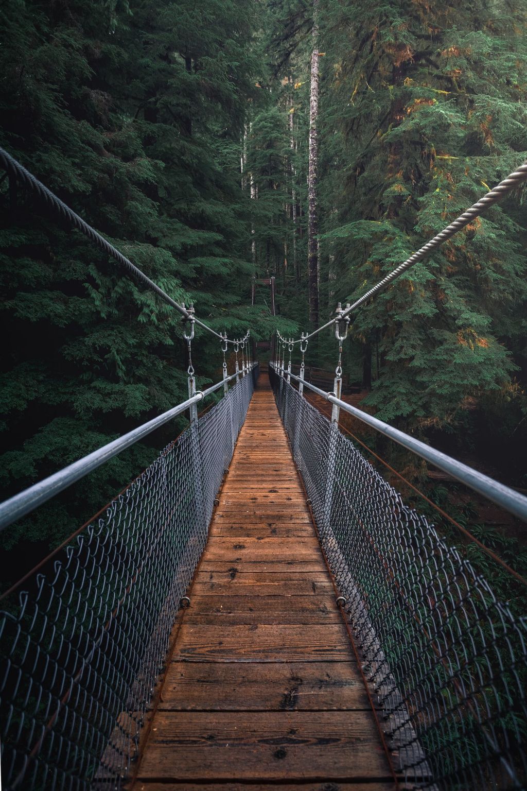 pexels-photo-1761279.jpeg