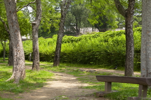 C20008_500.jpg