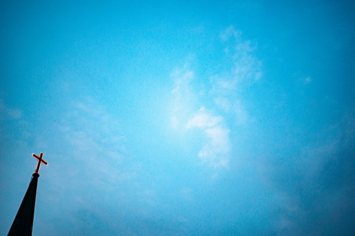 C19969_500.jpg