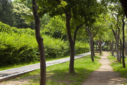 C20007_500.jpg