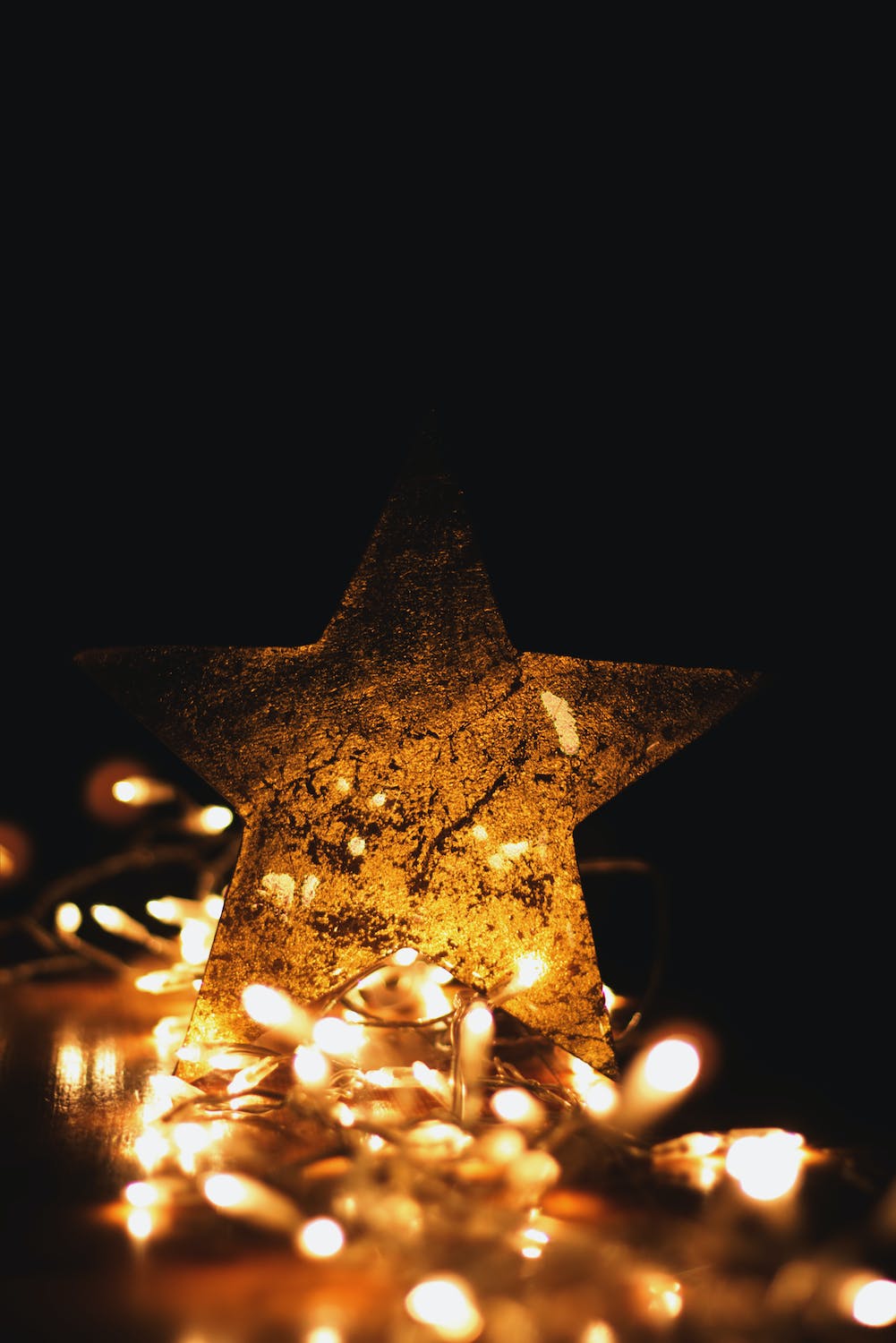 pexels-photo-1671431.jpeg