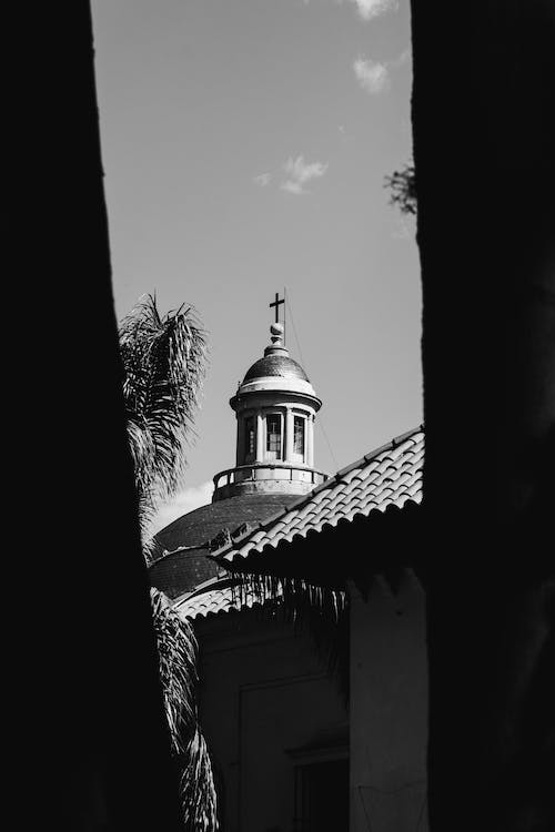 pexels-photo-14262218.jpeg