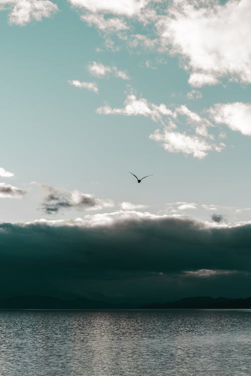 pexels-photo-13632955.jpeg