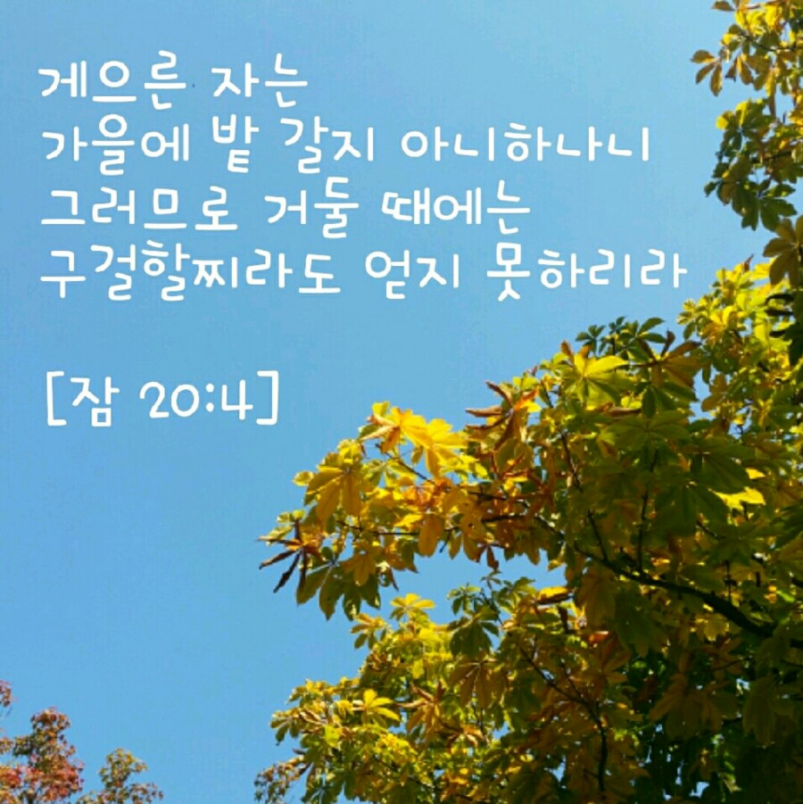 Screenshot_20161005-215457.jpg