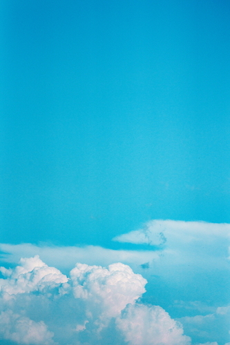 C19983_500.jpg