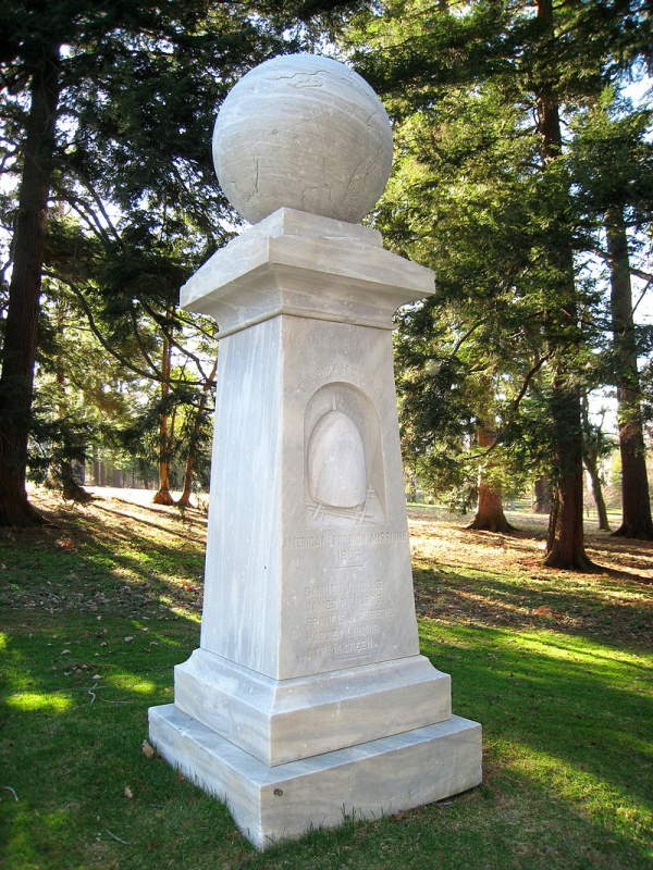 image_(11).jpg