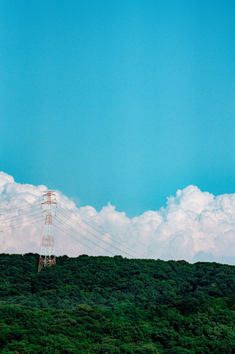 C19984_500.jpg