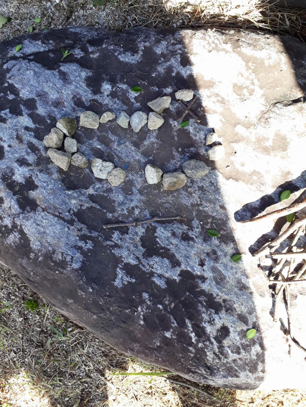 20190923_152443.jpg